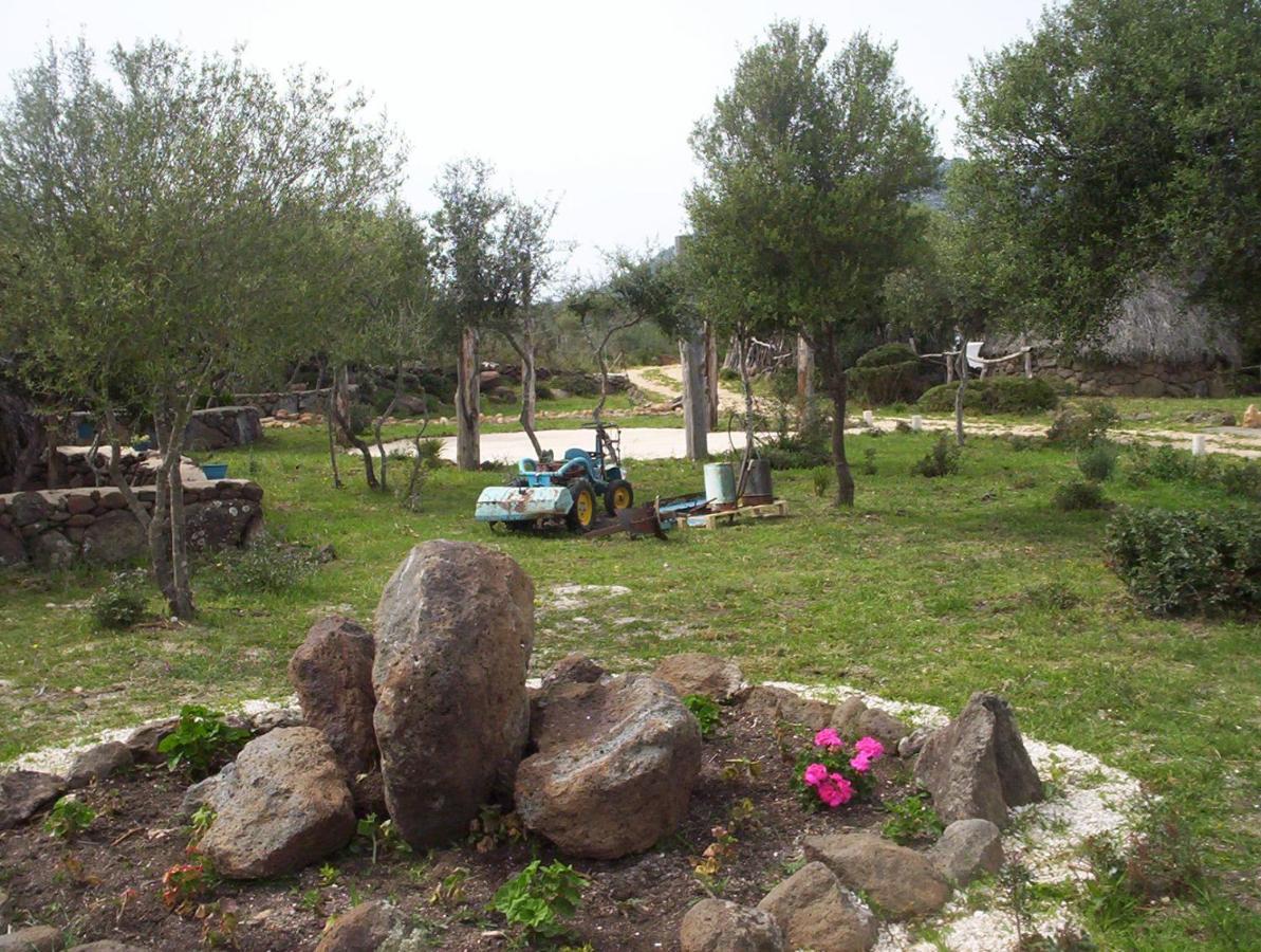 Ovile Juanne Loddo