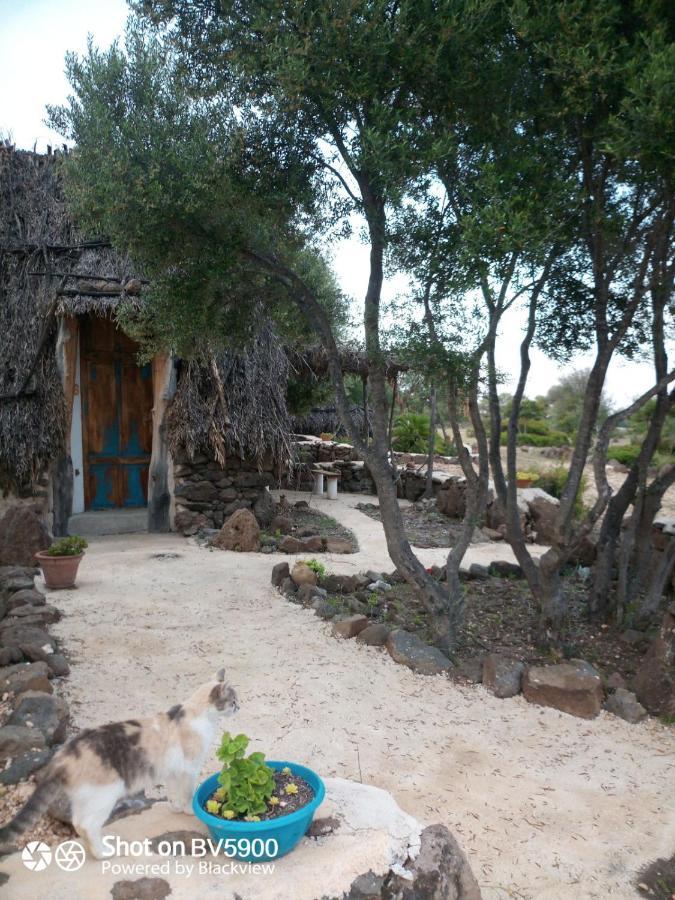 Ovile Juanne Loddo 3* Orosei